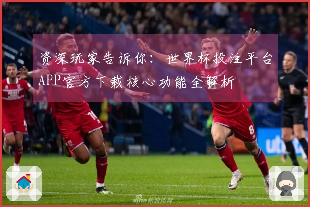 资深玩家告诉你：世界杯投注平台APP官方下载核心功能全解析