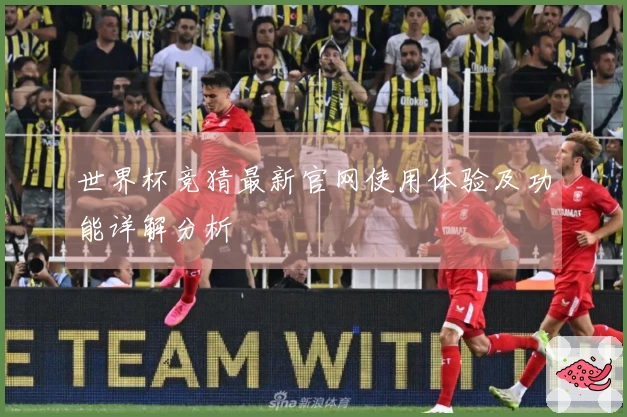 世界杯竞猜最新官网使用体验及功能详解分析