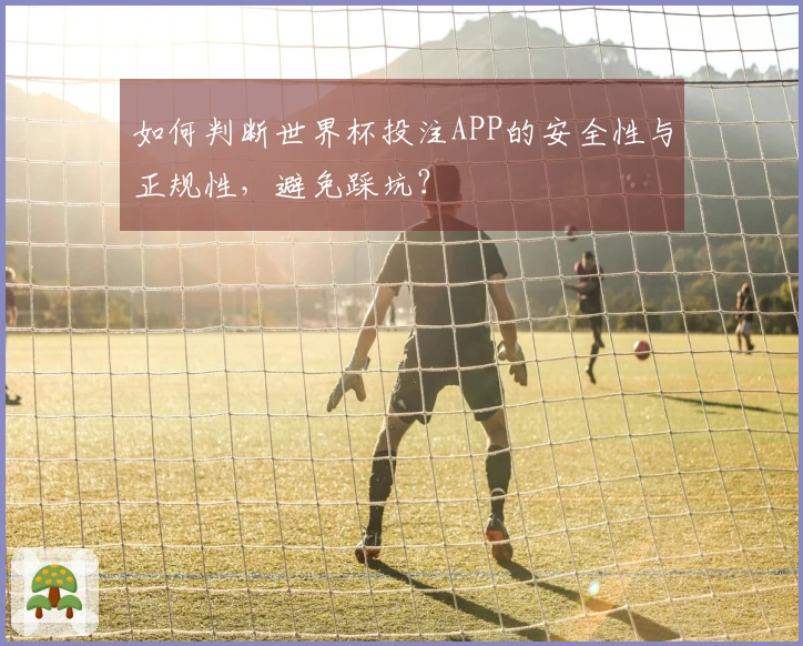 如何判断世界杯投注APP的安全性与正规性,避免踩坑?