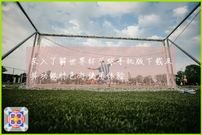 深入了解世界杯买球手机版下载及其功能特色与使用体验