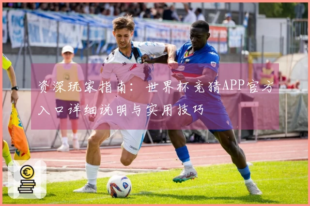 资深玩家指南：世界杯竞猜APP官方入口详细说明与实用技巧