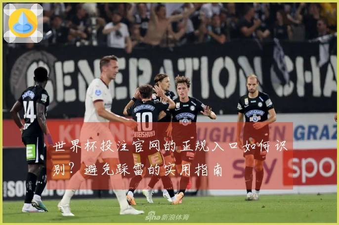 世界杯投注官网的正规入口如何识别？避免踩雷的实用指南