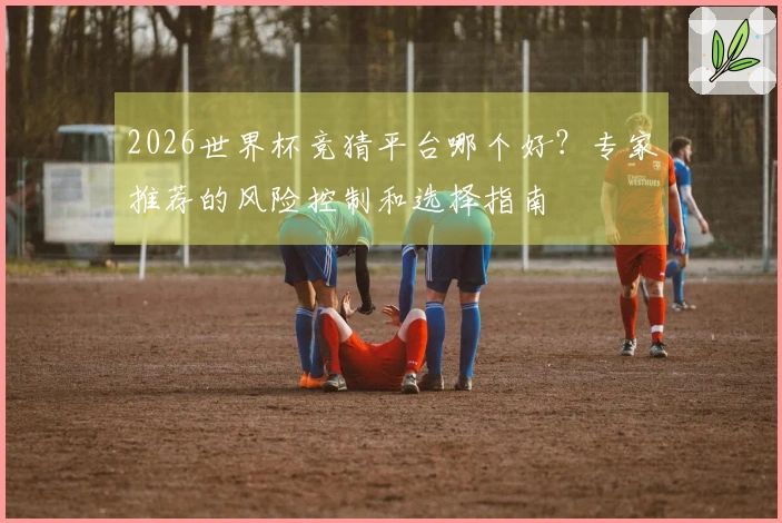 2026世界杯竞猜平台哪个好？专家推荐的风险控制和选择指南