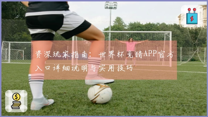 资深玩家指南：世界杯竞猜APP官方入口详细说明与实用技巧