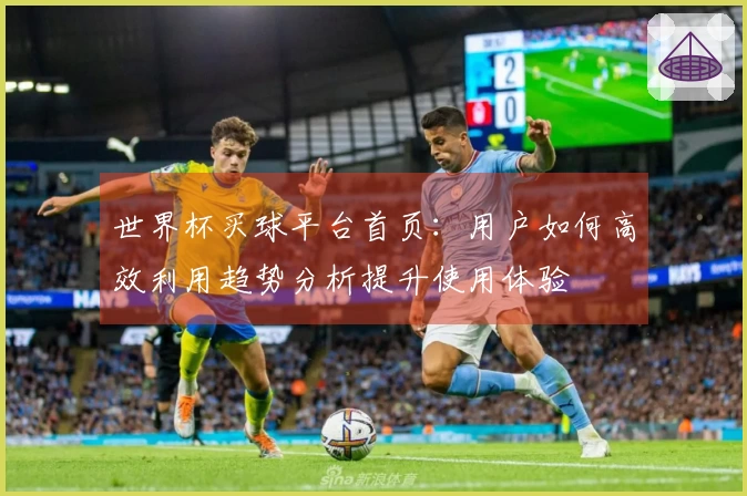 世界杯买球平台首页：用户如何高效利用趋势分析提升使用体验