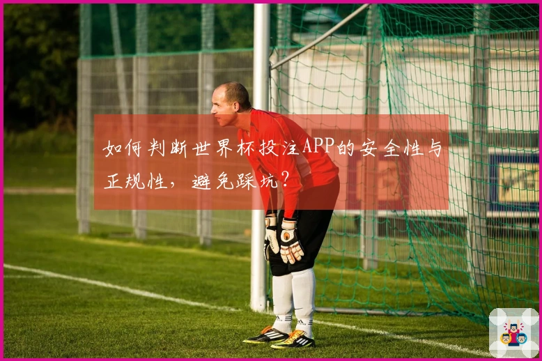 如何判断世界杯投注APP的安全性与正规性，避免踩坑？
