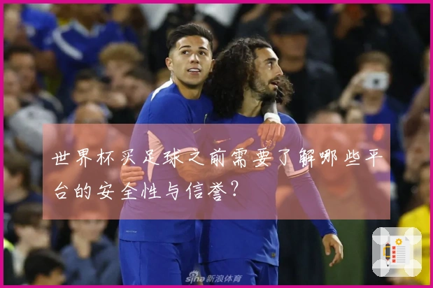 世界杯买足球之前需要了解哪些平台的安全性与信誉？